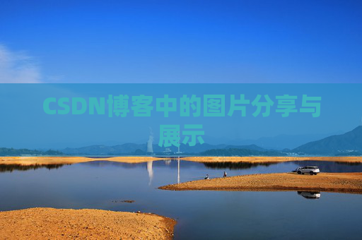 CSDN博客中的图片分享与展示